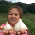 中国人「モンちゃん」が青森県を動画で紹介、800万回再生！