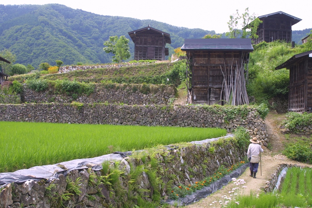研修で滞在した飛騨古川にある棚田の素朴な景色が外国人には人気
