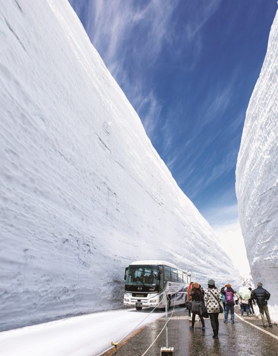 雪の壁となる「雪の大谷」が外国人にも大人気