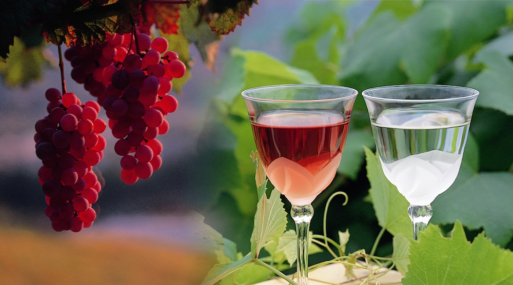 山梨の代表する特産品のぶどうとワイン