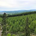 北海道の下川町で、森林資源をいかしたインバウンドへ最初の一歩
